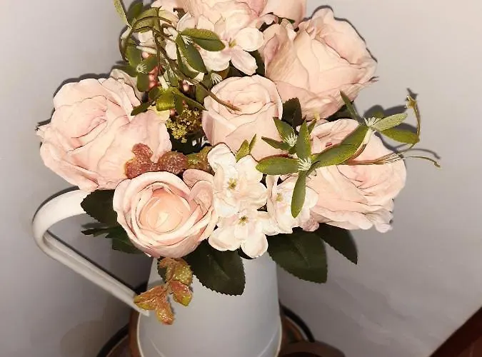 Apartamento Fray Eloy *